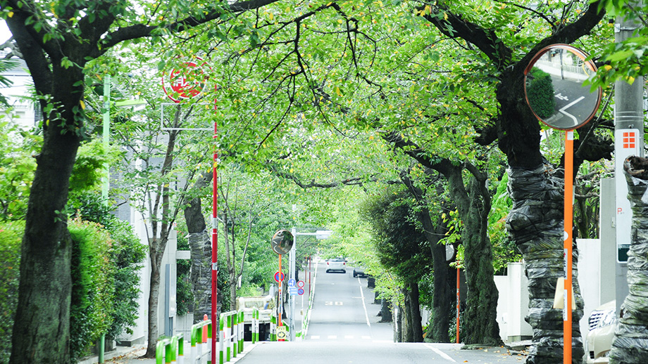 都市の利便性と「手の届く豊かさ」の調和
